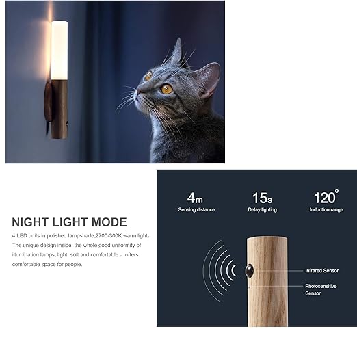 Glass & Wood Motion Sensor LED Night Light – Wireless Rechargeable Wall Lamp (Brown)